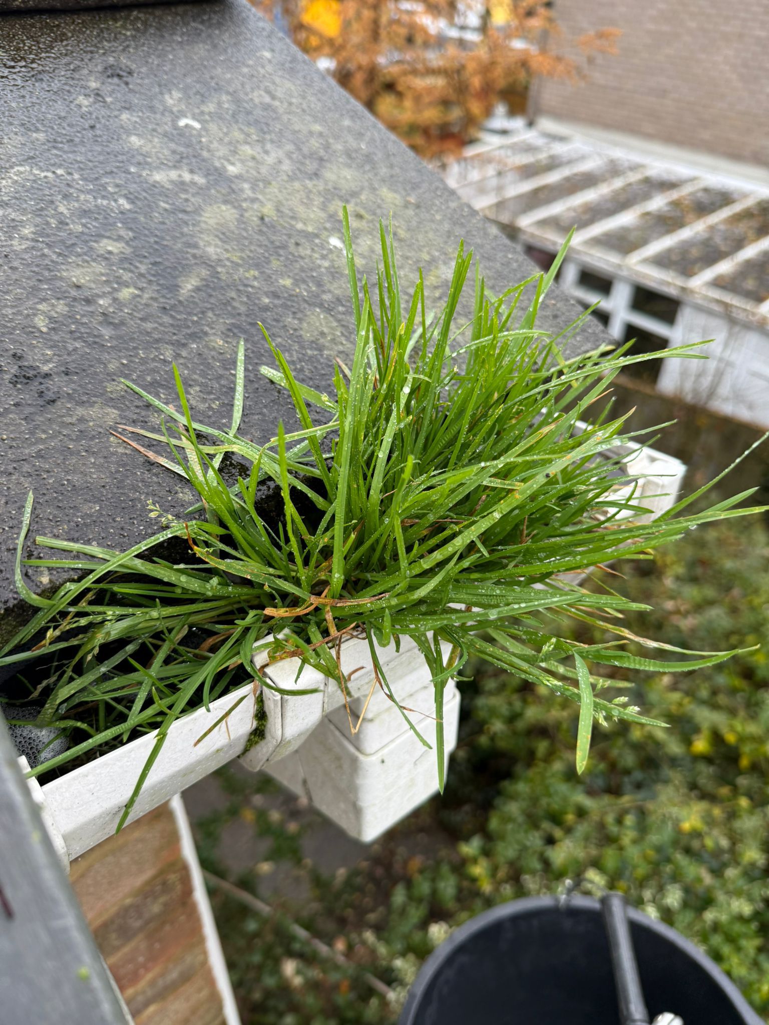 Blocked gutter downpipe in Broxbourne